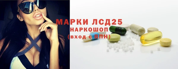 дживик Корсаков