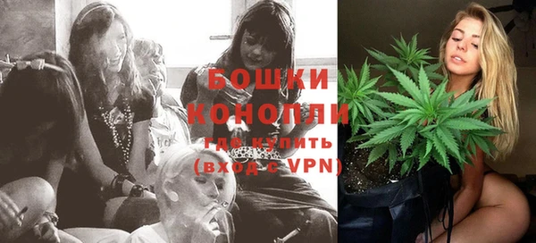 дживик Корсаков