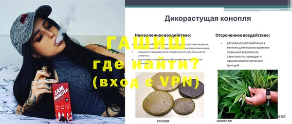 дживик Корсаков