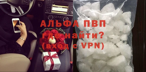 дживик Корсаков