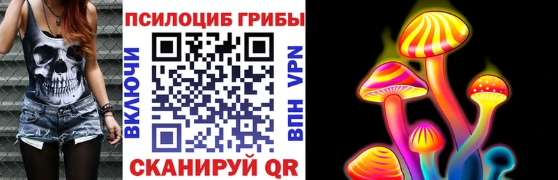 Псилоцибиновые грибы MAGIC MUSHROOMS  Купить где  Елабуга 