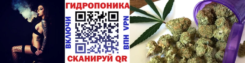 Марихуана Amnesia  Купить  Елабуга 